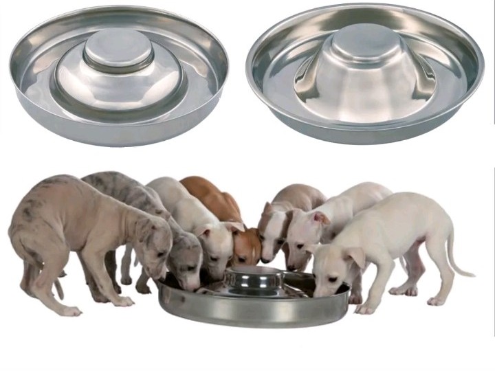 Stainless Puppy Weaning Bowl Euniversal Stars Kennels