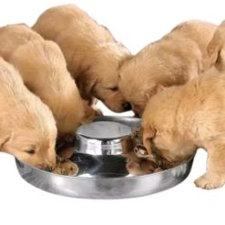 Stainless Puppy Weaning Bowl