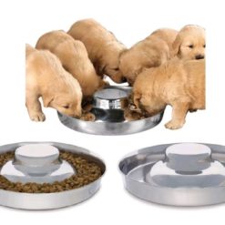 Alternative view of Stainless Puppy Weaning Bowl