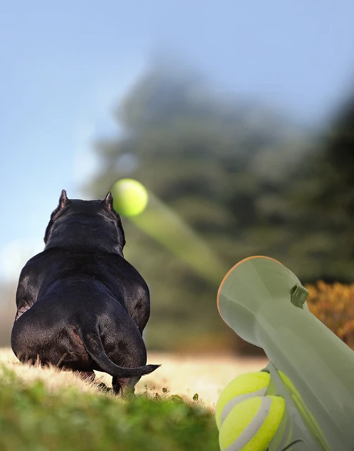 Dog Ball Launcher - Image 6