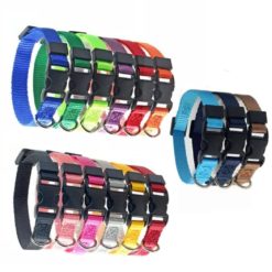 Alternative view of Newborn Puppies Identification Collars