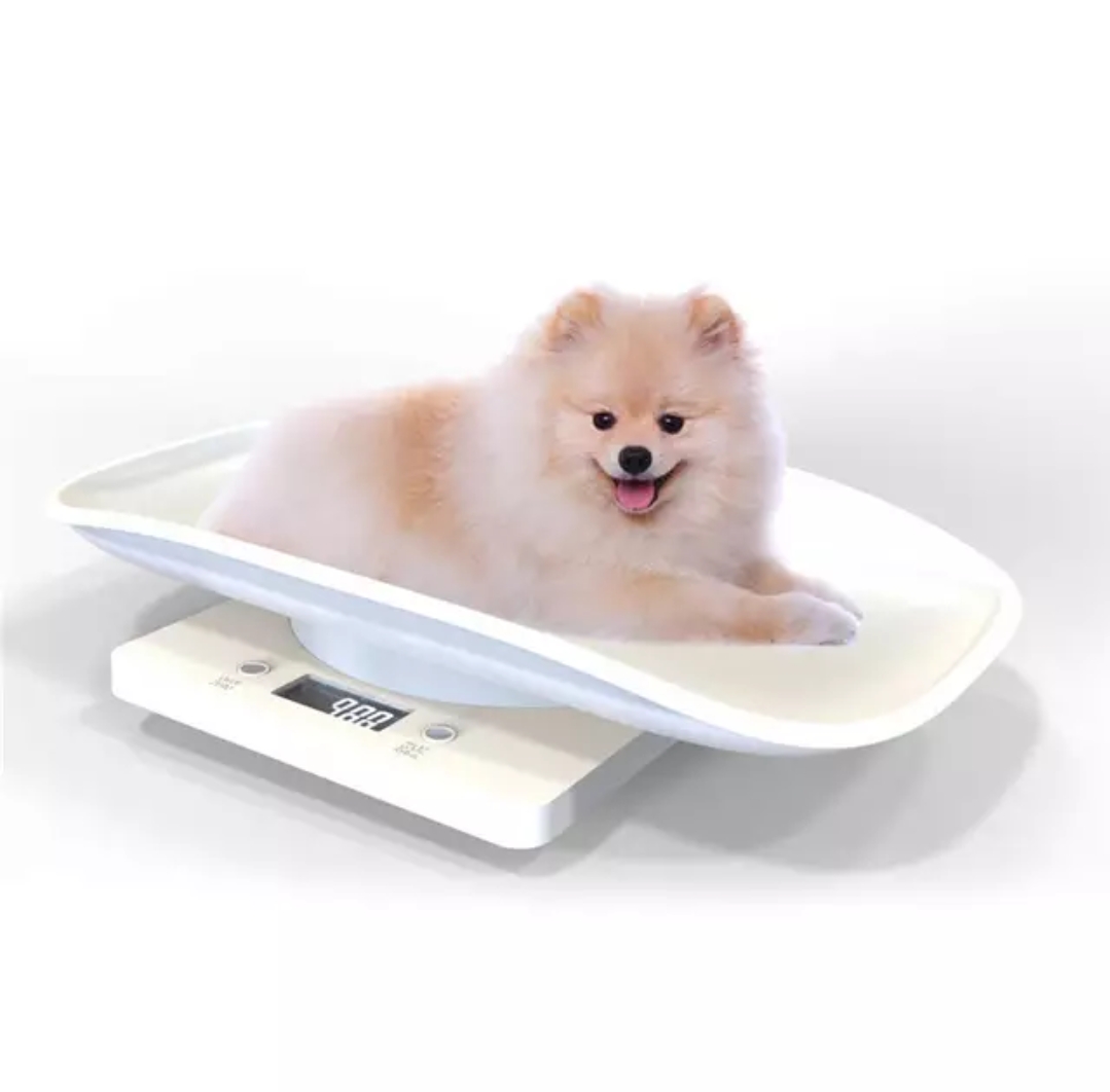 Digital Newborn Pet Scale