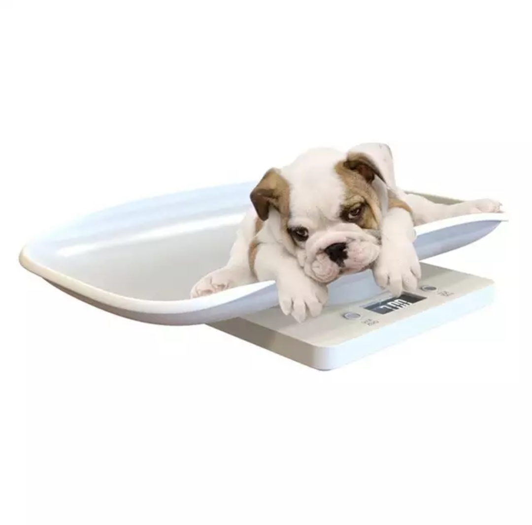 Digital Newborn Pet Scale - Image 3