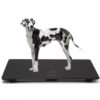 Veterinary Weighing Scale for Dogs – Accurate Readings | ESK Kennels