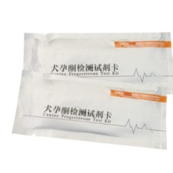 Alternative view of Progesterone Test Strips