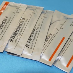Progesterone Test Strips